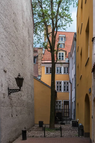 Uma Árvore Solitária Pequeno Pátio Estreito Cidade Velha Riga Letónia — Fotografia de Stock