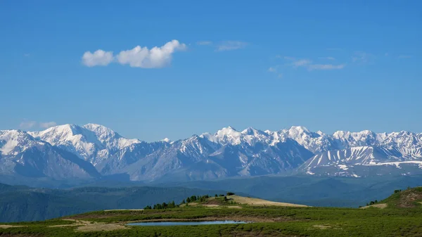 Dağdaki bir platoda küçük bir eriyen göl. Karlı bir tepenin arka planına karşı dağ vahası. Yaz Altai.