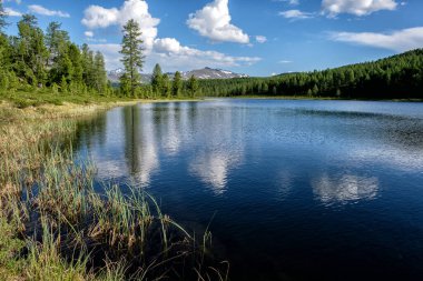 Bulutlar bir dağ gölünün mavi suyuna yansıyor. Sudaki dalgalanmalar. Yaz Altai.