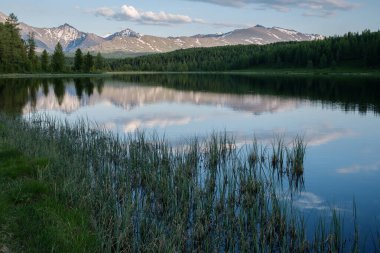 Çimlerle kaplı bir dağ gölünün kıyısında. Karlı dağlar ve bulutlar suya yansıyor. Yaz akşamı, Altai..