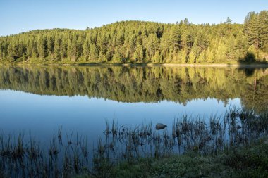 Bir dağ gölünün kıyısında. Orman suya yansıyor. Altai Dağları 'nda şafak vakti.