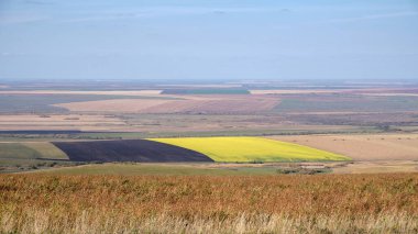 Çok renkli tarım arazileri. Sonbahar Altai, Rusya. Güneşli bir gün.