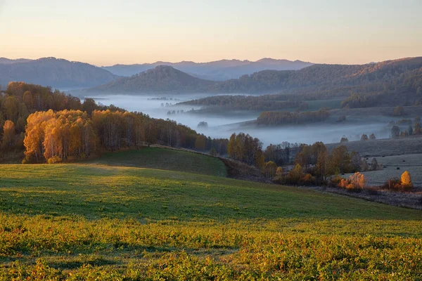 Sabah güneşi tarlayı ve ormanı aydınlatıyor. Dağ vadisinde sis. Altai..