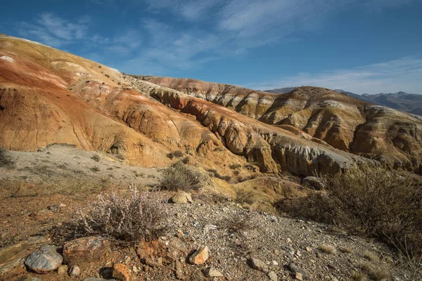 Büyük kırmızı ve sarı kil tepeleri, erozyon izleri, kayalık yüzey ve seyrek bitki örtüsü. Mars manzarası, Altai Dağları.