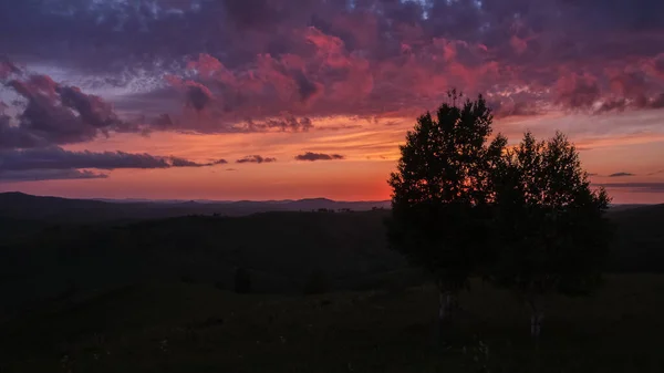 Altai dağlarında gün batımı. Ağaçların siluetleri muhteşem gökyüzünün arka planına karşı. Yaz akşamı..