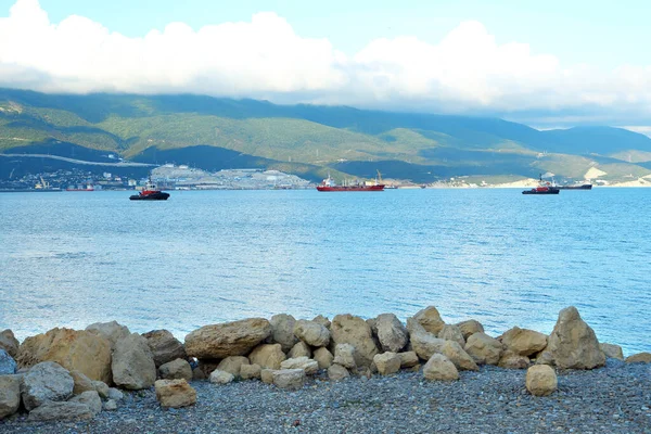Novorossiysk Tsemesskaya Körfezi Ndeki Deniz Liman Manzarası Kasım 2020 — Stok fotoğraf