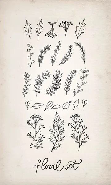 Doodle hand getrokken floral elementen — Stockvector