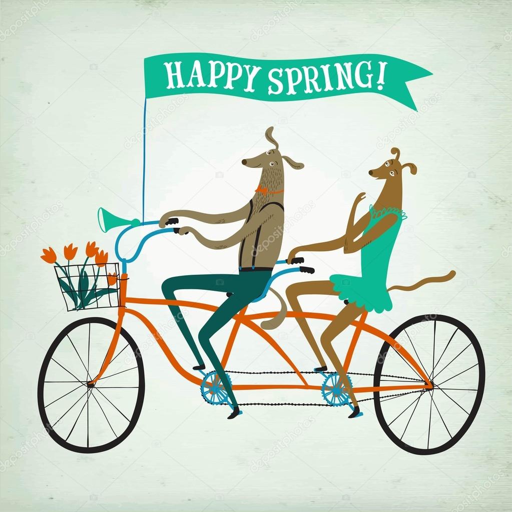 Lovely dogs cyclists spring  illustration