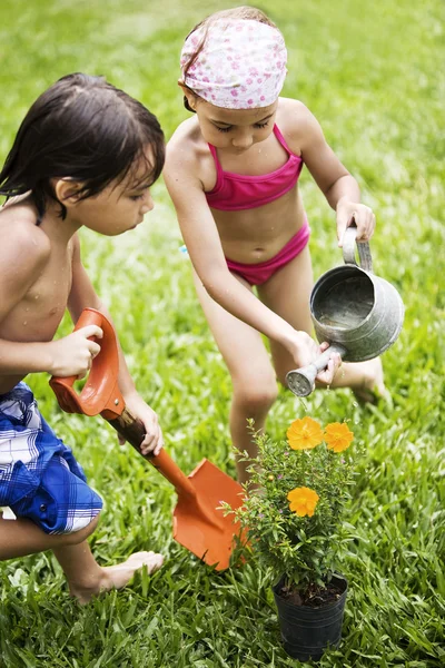girl and boy cultivating plant