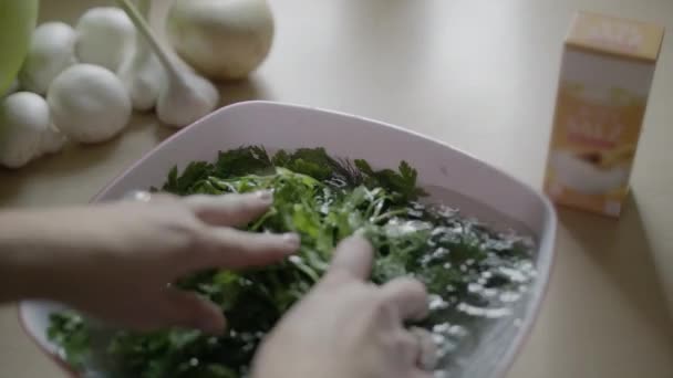 Kashrut Groenten Weken Voor Het Koken Close — Stockvideo