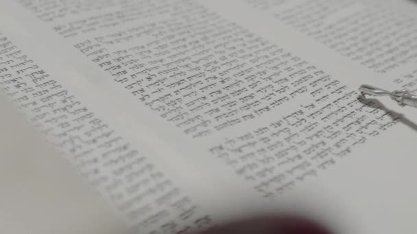 Reading Torah Scroll Close — Stock Video