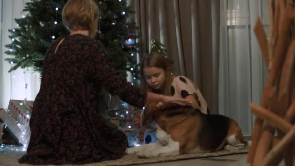 Nővérek ülnek a karácsonyfa alatt és játszanak a kutyával.