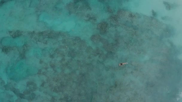 Schwimmt Das Mädchen Ozean Klares Wasser Mit Blauer Tönung — Stockvideo