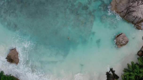Nadadora Océano Agua Cristalina Olas Azules Vista Desde Arriba — Vídeos de Stock