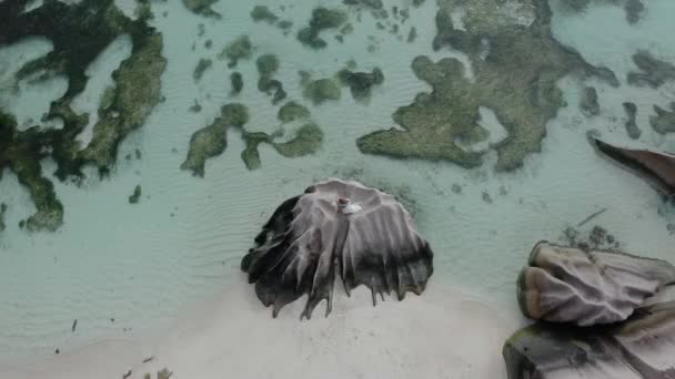 Married Couple Embrace Standing Rock Formations Anse Source Argent Beach — 비디오