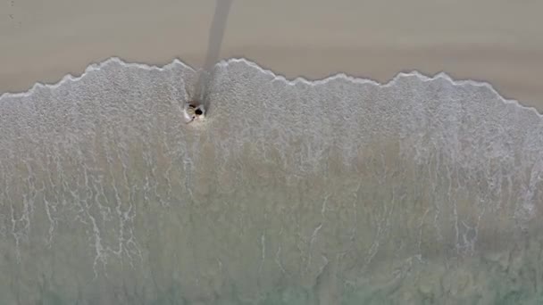Una Joven Pareja Encuentra Orilla Costa Oceánica Las Olas Lavan — Vídeos de Stock