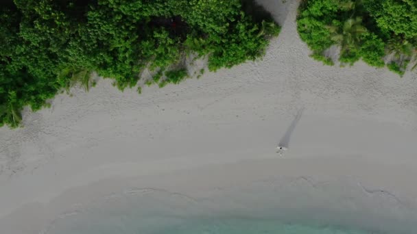 Una Joven Pareja Camina Largo Costa Oceánica Agua Cristalina Tono — Vídeos de Stock