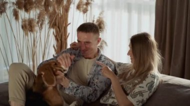 Genç ve mutlu bir çift oturma odasındaki kanepede otururken evcil hayvanlarıyla oynuyorlar. Beagle cinsinin güzel bir köpeği. Yavaş çekim