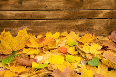 Kopya alanı için sarı akçaağaç yapraklı ahşap arkaplan