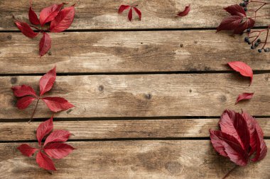 Kopi alanı için kırmızı üzüm yapraklı ahşap arkaplan