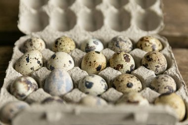 Kutuda bıldırcın yumurtası.