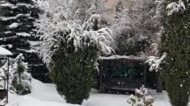 Trees in the snow under heavy snowfall, in the garden of a residential building. Videos