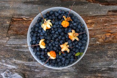 Ağaçta bir tabak yaban mersini.                               