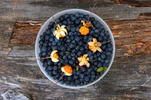 Ağaçta bir tabak yaban mersini.                               