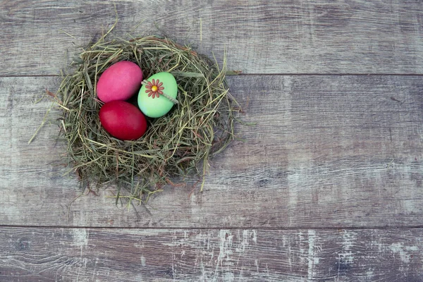 Huevos Pascua Nido Hierba — Foto de Stock