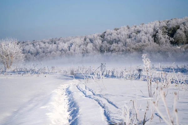 Zimowy Śnieżny Krajobraz Leśny Zimowy Las Śnieżny Snowy Zimowy Widok — Zdjęcie stockowe