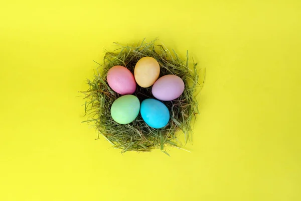 Feliz Nido Huevos Pascua Sobre Fondo Amarillo — Foto de Stock