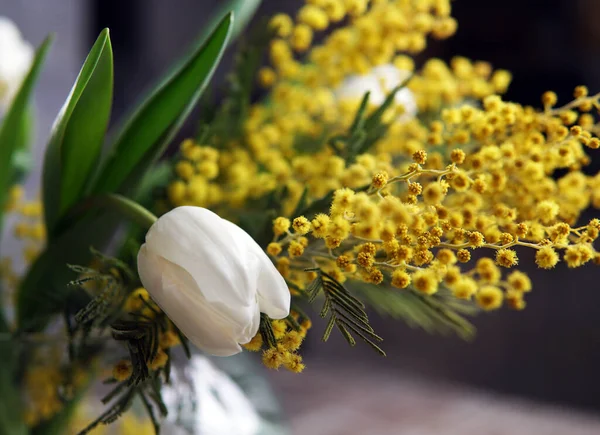 Parlak bahar laleleri ve mimoza çiçekleri. Anneler Günü ya da Paskalya teması.                               
