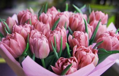 Leylak çiçeği açan lale yakın plan, bulanık arka planda bir buket bahar çiçeği..                                