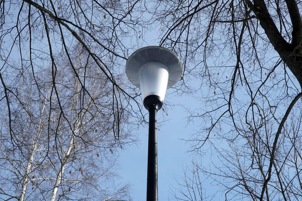 modern sokak lambası mavi gökyüzü ve ağaç dalları üzerinde                               