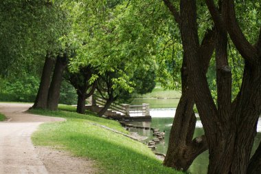 Güzel yeşil park, gölet, su, nehir Yeşil çimen tarlası ve ağacı olan halk parkı                                