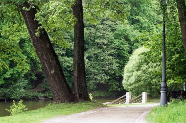 Park ağaçları Moskova Köprüsü göleti                               