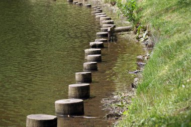Suda tahta direkler var. Arka planda sisin içindeki ağaçlar var..             
