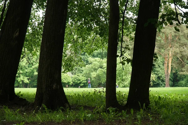 Pessoas Andando Parque Público Grama Verde Sol Pessoas Activas Segundo — Fotografia de Stock