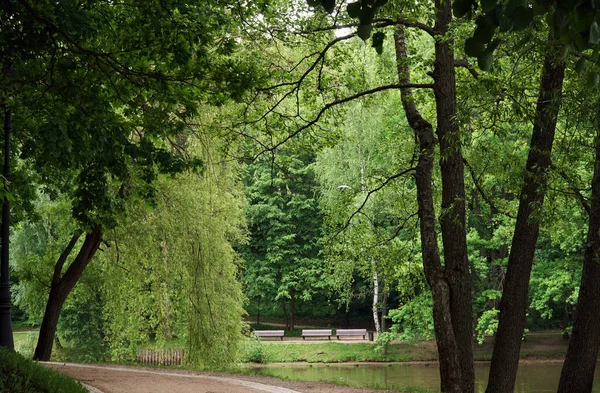 Pittoresk Utsikt Över Parken Centrum Storstad Sommaren Med Lagun Mitten — Stockfoto