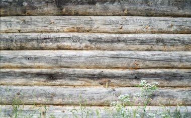 Ahşap ahşap evin duvarı. Odundan yapılmış ahşap kulübe. Kuzey Kutbu 'ndaki çam ağacından bir evin parçası. Yeşil çimen                                