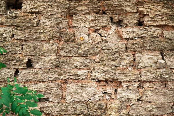 Pared Adoquines Grandes Piedras Bloques Amarillos Con Hierba — Foto de Stock