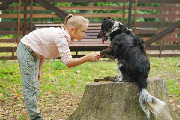 Amistad Conocimiento Una Niña Perro Calle —  Fotos de Stock