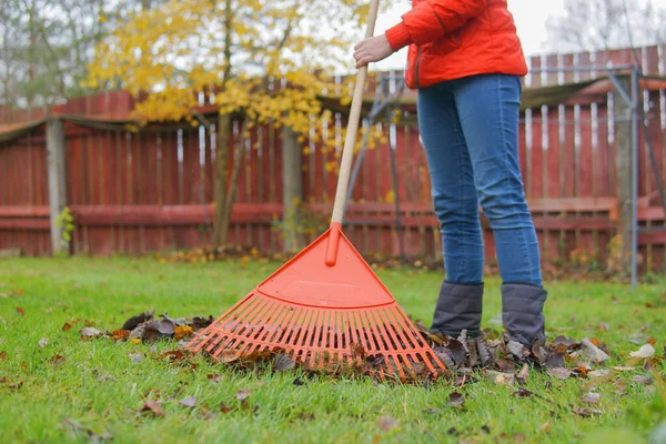 Outono Limpeza Jardim Folhagem Menina Com Ancinho — Fotografia de Stock