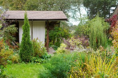 Veranda çardağı bahçe thuja yazın söğüt ağacı.