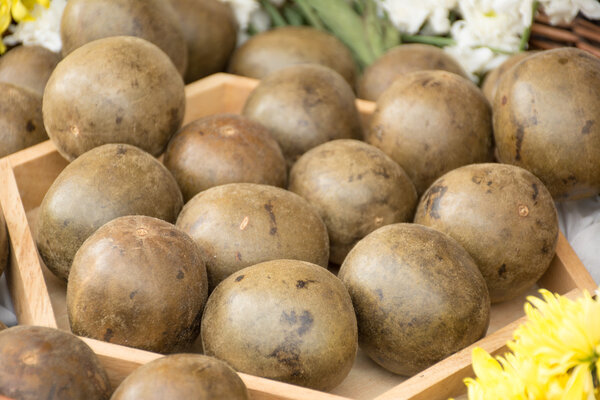 Siraitia grosvenorii