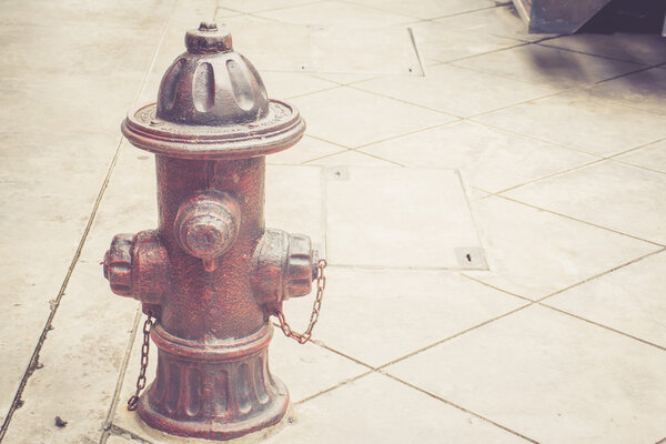 Fire Hydrant vintage style