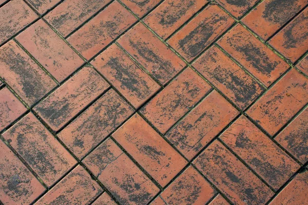 Outdoor brick floor in the public park, use for background or te — Stock Photo, Image