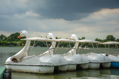 Fırtına altında önce ördek tekne