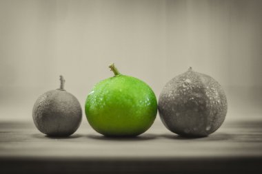 Renk limon ahşap kurullarında.