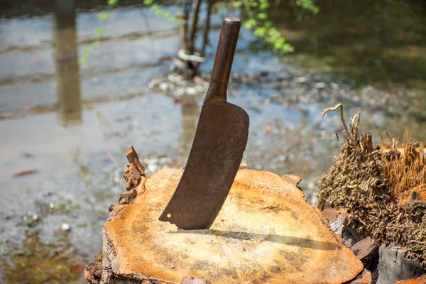 Old cleaver on Stump with flood in background — Stock Photo, Image